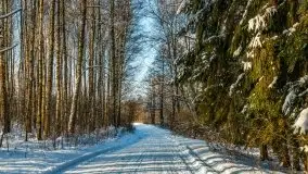 Kolejna dawka pięknej, mazurskiej zimy przy jez. Dargin - zdjęcie 2