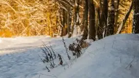 Kolejna dawka pięknej, mazurskiej zimy przy jez. Dargin - zdjęcie 7