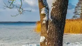 Kolejna dawka pięknej, mazurskiej zimy przy jez. Dargin - zdjęcie 22