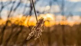 Zachód słońca w okolicach zimowych Kruklanek - zdjęcie 18