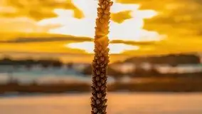 Zachód słońca w okolicach zimowych Kruklanek - zdjęcie 74