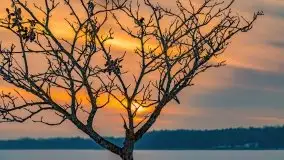 Zachód słońca w Giżycku nad jeziorem Niegocin 02.2021 - zdjęcie 3