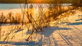 Zachód słońca w okolicach Starych Juch, 02.2021 - zdjęcie 11