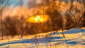 Zachód słońca w okolicach Starych Juch, 02.2021 - zdjęcie 45