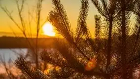 Zachód słońca w okolicach Starych Juch, 02.2021 - zdjęcie 30