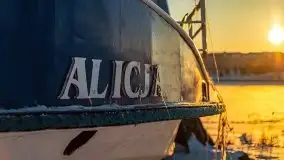 Zimowe Mikołajki skąpane w zachodzącym słońcu, 02.2021 - zdjęcie 29