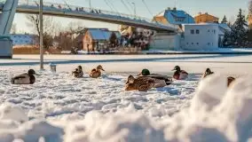 Mikołajki w zimowej scenerii, luty 2021 r. - zdjęcie 51