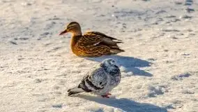 Mikołajki w zimowej scenerii, luty 2021 r. - zdjęcie 82