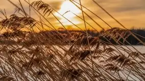 Zachód słońca Pierkunowo i okolice, luty 2021 - zdjęcie 13