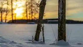 Zachód słońca Pierkunowo i okolice, luty 2021 - zdjęcie 28