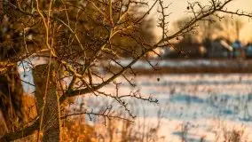 Zachód słońca Pierkunowo i okolice, luty 2021 - zdjęcie 54