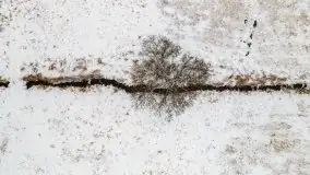 Okolice Kleszczewa w zimowej scenerii, styczeń 2021 - zdjęcie 21