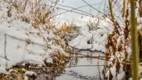 Okolice Kleszczewa w zimowej scenerii, styczeń 2021 - zdjęcie 3