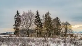 Okolice Kleszczewa w zimowej scenerii, styczeń 2021 - zdjęcie 4