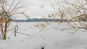 Okolice Kleszczewa w zimowej scenerii, styczeń 2021 - zdjęcie 23