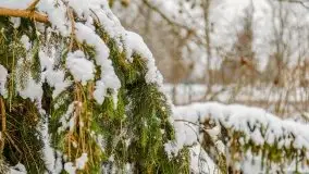 Okolice Kleszczewa w zimowej scenerii, styczeń 2021 - zdjęcie 38