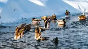 Stare Juchy w zimowej aurze, luty 2021 r. - zdjęcie 29