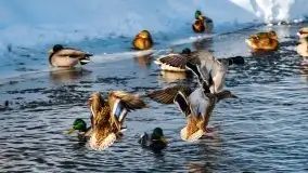 Stare Juchy w zimowej aurze, luty 2021 r. - zdjęcie 46