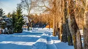 Stare Juchy w zimowej aurze, luty 2021 r. - zdjęcie 32