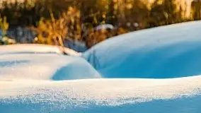 Stare Juchy w zimowej aurze, luty 2021 r. - zdjęcie 64