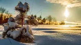 Stare Juchy w zimowej aurze, luty 2021 r. - zdjęcie 67