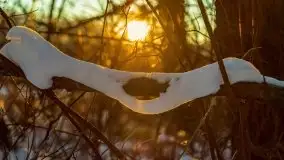 Zachód słońca nad jeziorem Siercze, luty 2021  - zdjęcie 10