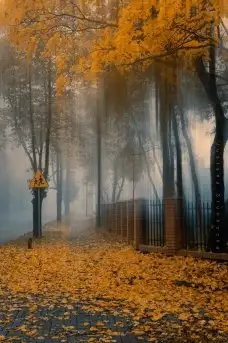 Miłośnicy Mazur - piękno regionu uchwycone przez Justynę Słuchocką - zdjęcie 18