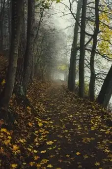 Miłośnicy Mazur - piękno regionu uchwycone przez Justynę Słuchocką - zdjęcie 24
