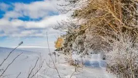 Jezioro Ślepieniec skąpane w zimowej bieli, luty 2021 - zdjęcie 15