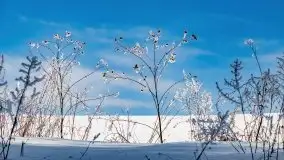 Jezioro Ślepieniec skąpane w zimowej bieli, luty 2021 - zdjęcie 13