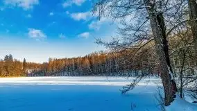 Jezioro Ślepieniec skąpane w zimowej bieli, luty 2021 - zdjęcie 3