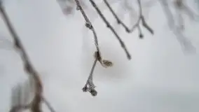 Poranne i zimowe mgły w okolicach Kruklanek - zdjęcie 22