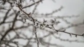 Poranne i zimowe mgły w okolicach Kruklanek - zdjęcie 9