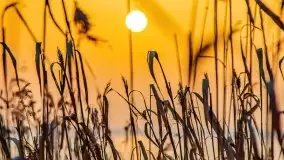 Zimowy zachód słońca nad jeziorem Śniardwy - zdjęcie 20