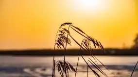 Zimowe Śniardwy i Okartowo, luty 2021 r. - zdjęcie 24