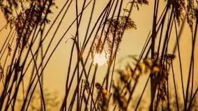 Zimowe Śniardwy i Okartowo, luty 2021 r. - zdjęcie 31