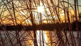 Zimowy wieczór i zachód słońca w Rynie, luty 2021 - zdjęcie 14