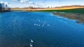 Szukamy wiosny - znajdujemy pierwsze oznaki - zdjęcie 29