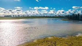 Szukamy wiosny - znajdujemy pierwsze oznaki - zdjęcie 35