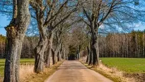 Szukamy wiosny - znajdujemy pierwsze oznaki - zdjęcie 11