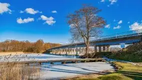 Szukamy wiosny - znajdujemy pierwsze oznaki - zdjęcie 5