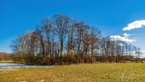 Szukamy wiosny - znajdujemy pierwsze oznaki - zdjęcie 52