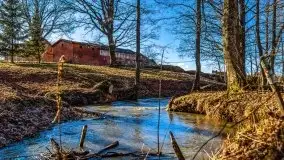 Szukamy wiosny - znajdujemy pierwsze oznaki - zdjęcie 43