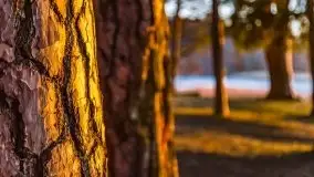 Przedwiosenny zachód słońca nad jeziorem Gołdopiwo i Żabiniec - zdjęcie 70