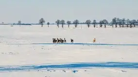 Zimowa sceneria okolic Kętrzyna, luty 2021 - zdjęcie 36