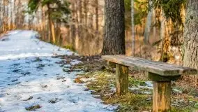 Przedwiośnie w lasach przy Wilkasach, marzec 2021 - zdjęcie 5