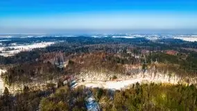 Las miejski w Giżycku, zimowa odsłona, luty 2021 r. - zdjęcie 11