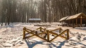 Las miejski w Giżycku, zimowa odsłona, luty 2021 r. - zdjęcie 8