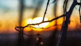 Marcowy zachód słońca nad jeziorem Kisajno - zdjęcie 28