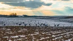 Mazury u progu wiosny, ujęcia z różnych miejsc - zdjęcie 26